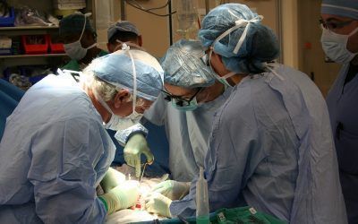 ESPAÑA NUEVO RECORD EN TRASPLANTES Y DONACIONES