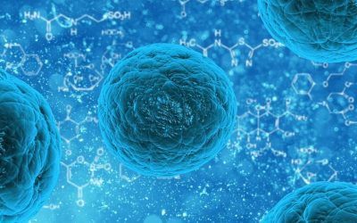 ESTUDIOS TRATAMIENTO STAPHILOCOCO AUREUS RESISTENTE (MRSA)