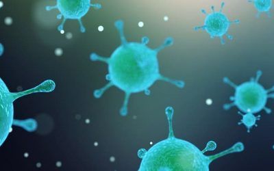 VIRUS PARA TRATAR LA PSEUDOMONA AERUGINOSA EN LA FQ