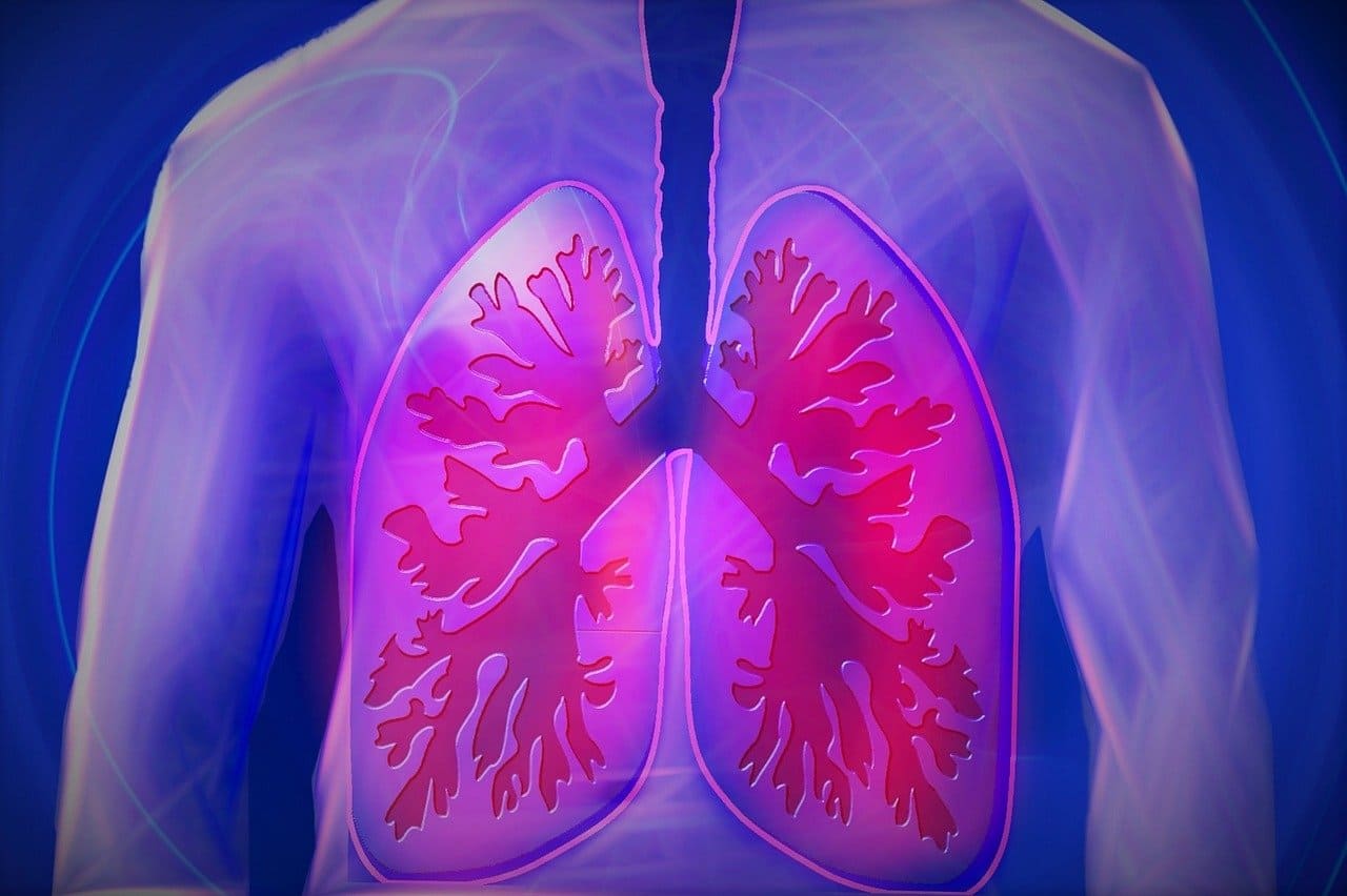 pulmones tomografia