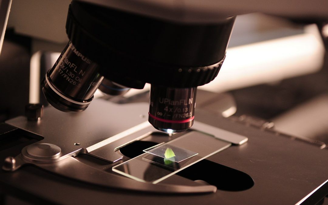 Un reciente estudio ha demostrado que la proteina CFTR cambia de forma