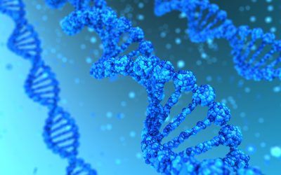 Estudian un potencial tratamiento para mutaciones “sin sentido” en Fibrosis Quística con moduladores CFTR