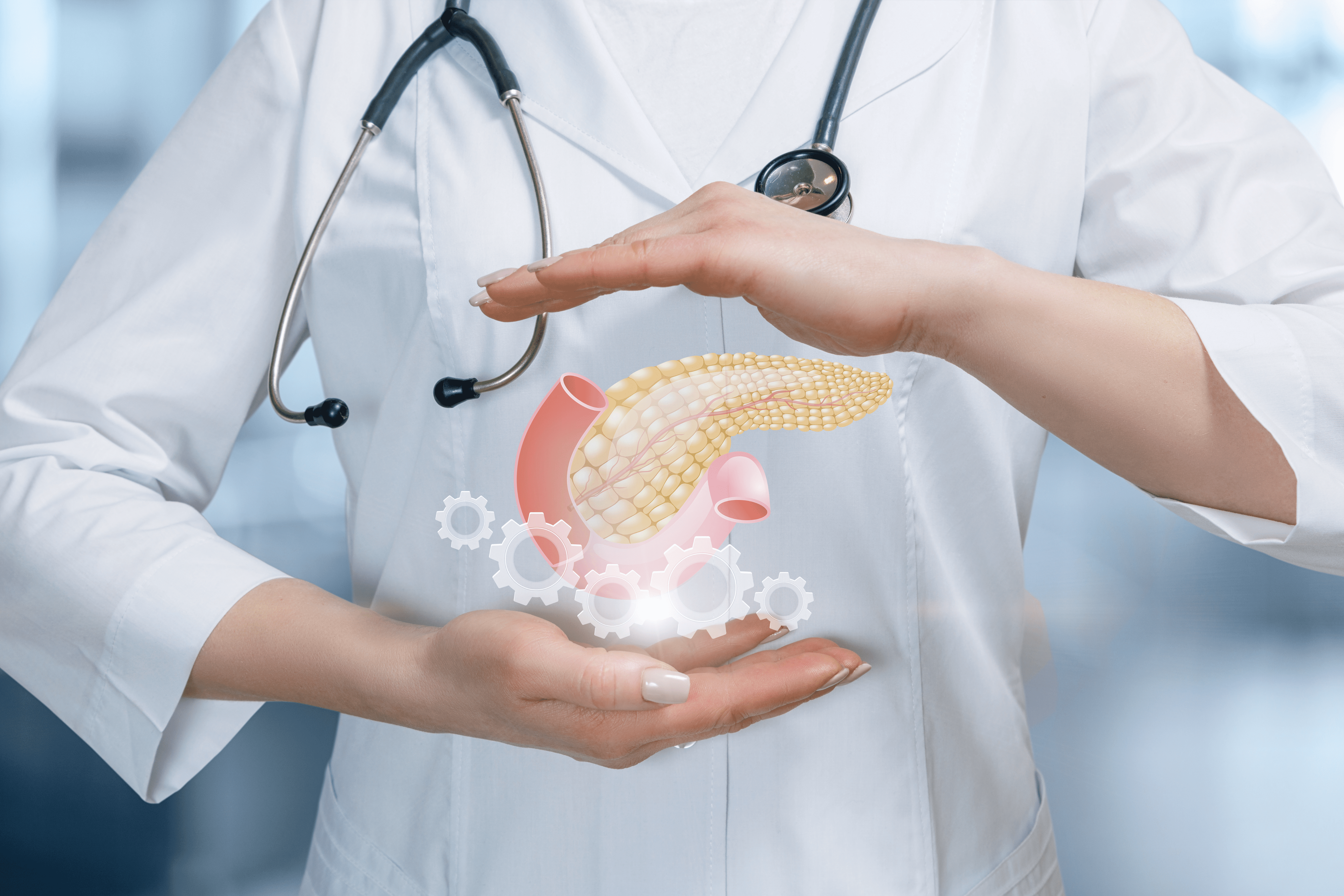 pancreas